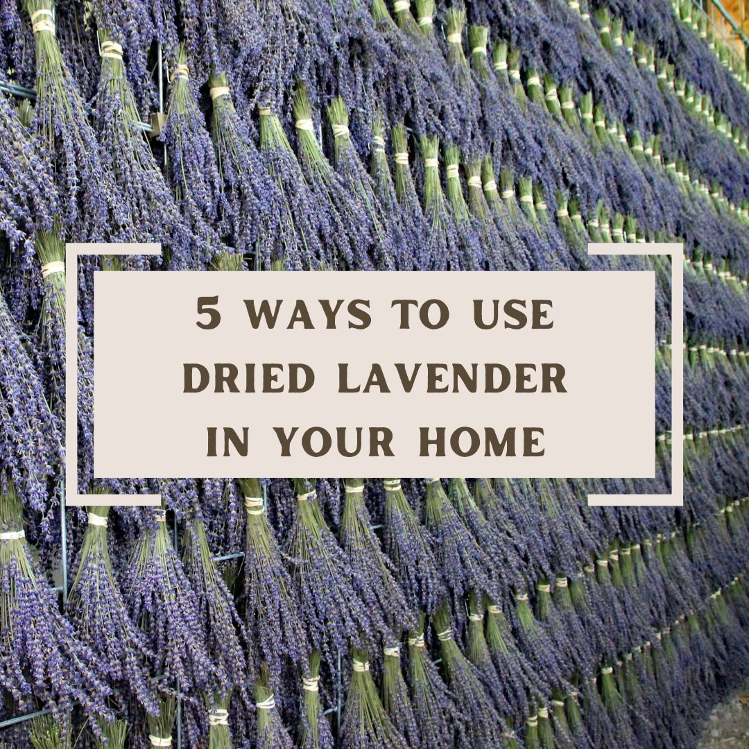 5 Ways to Use Dried Lavender in Your Home