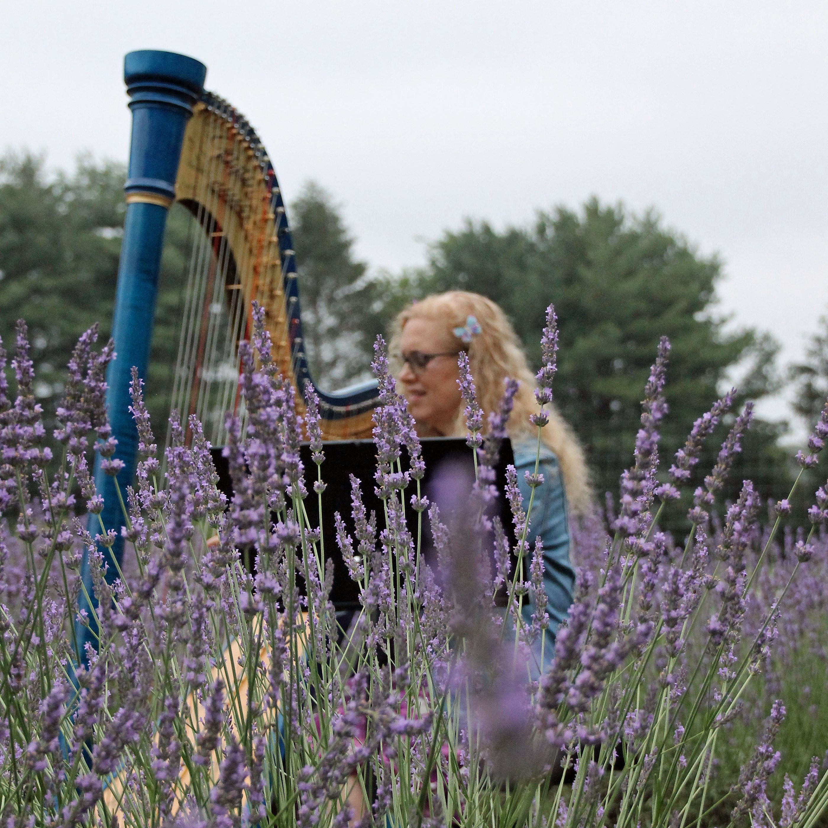 An Evening of Lavender & Harp Music