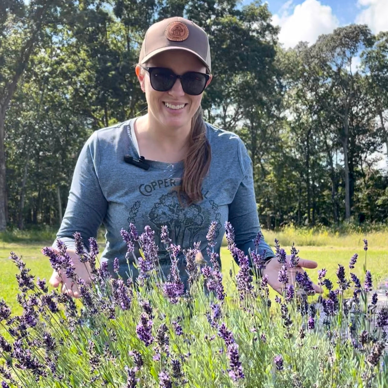 Trimming Second Bloom Lavender