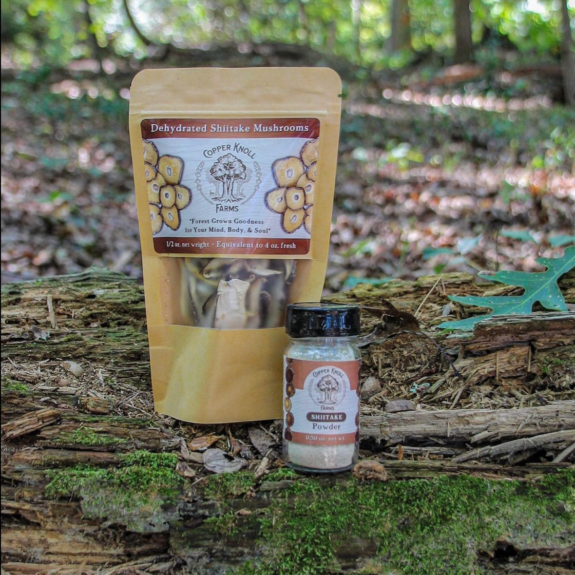 How to Add Mushroom Powder to Everyday Meals