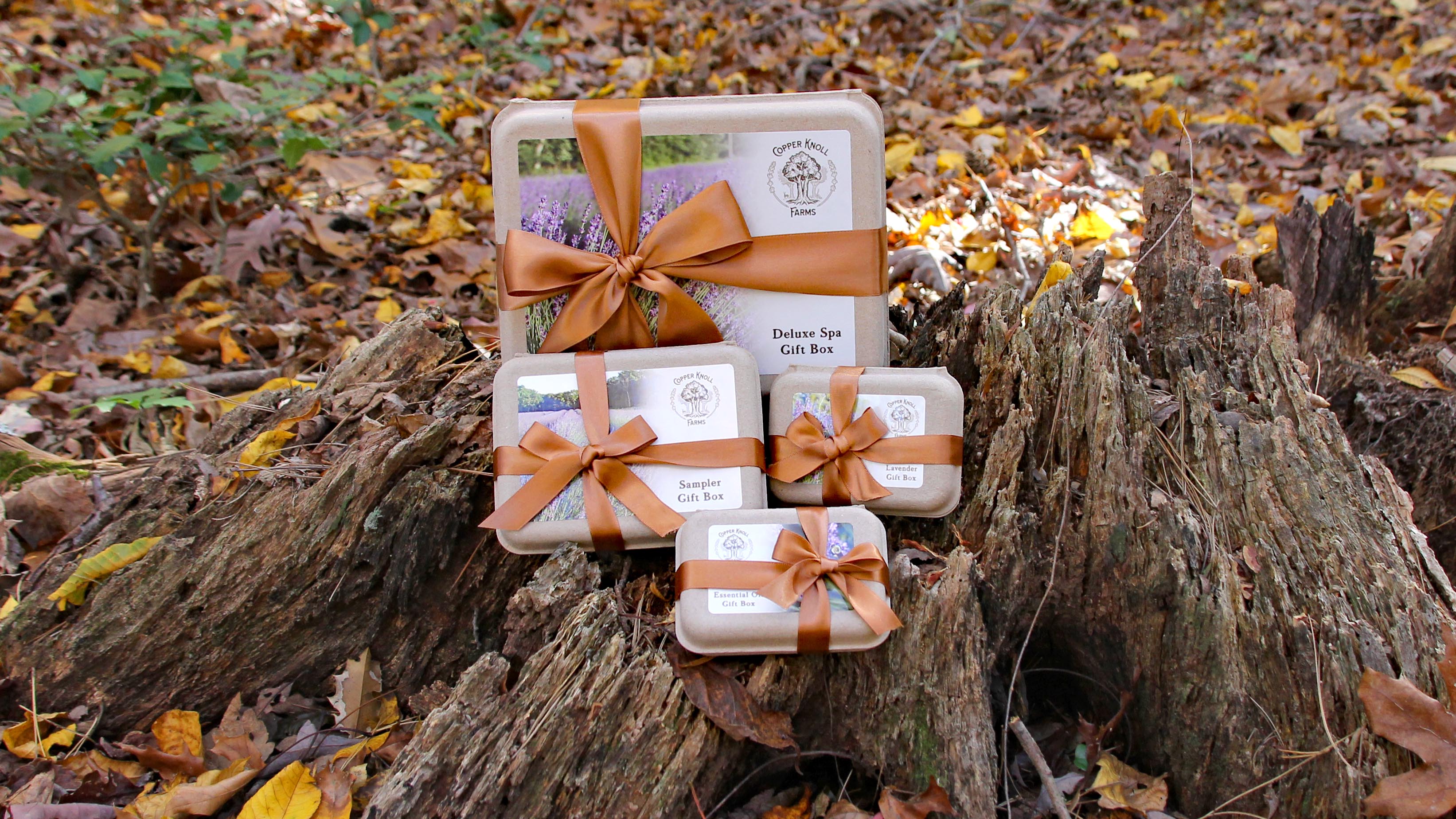 Gift Boxes & Bundles