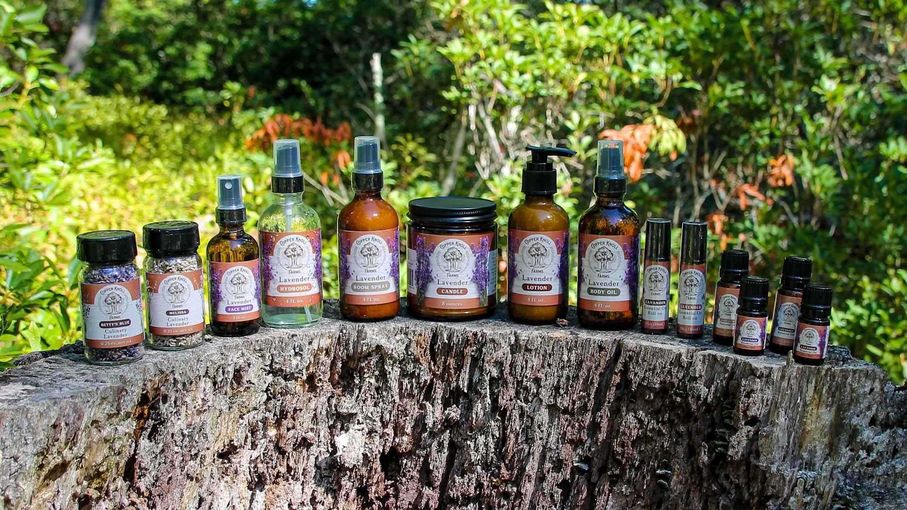 Lavender – Copper Knoll Farms