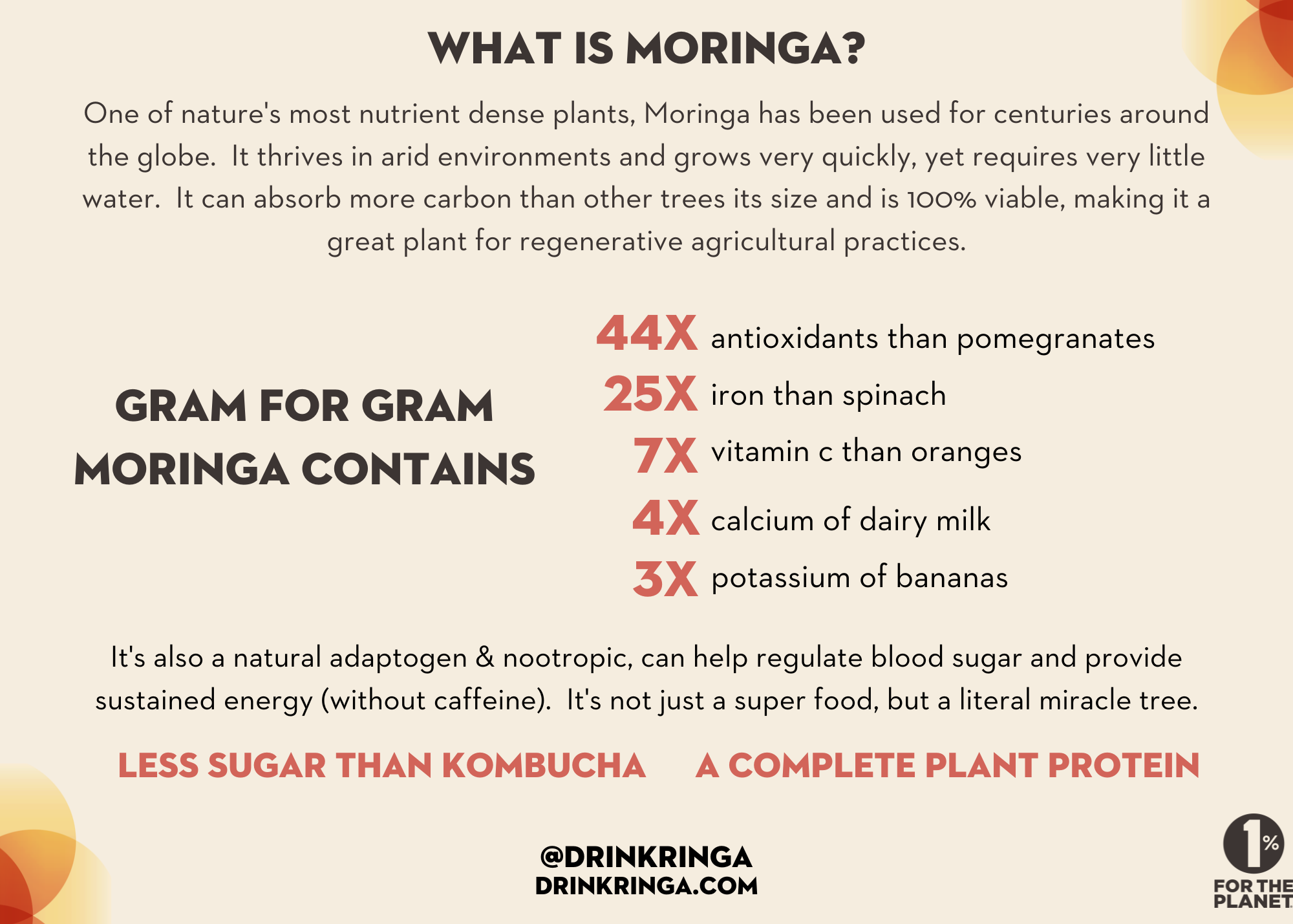 Ringa Elderberry + Lavender Lemoande Moringa & ACV Infusion