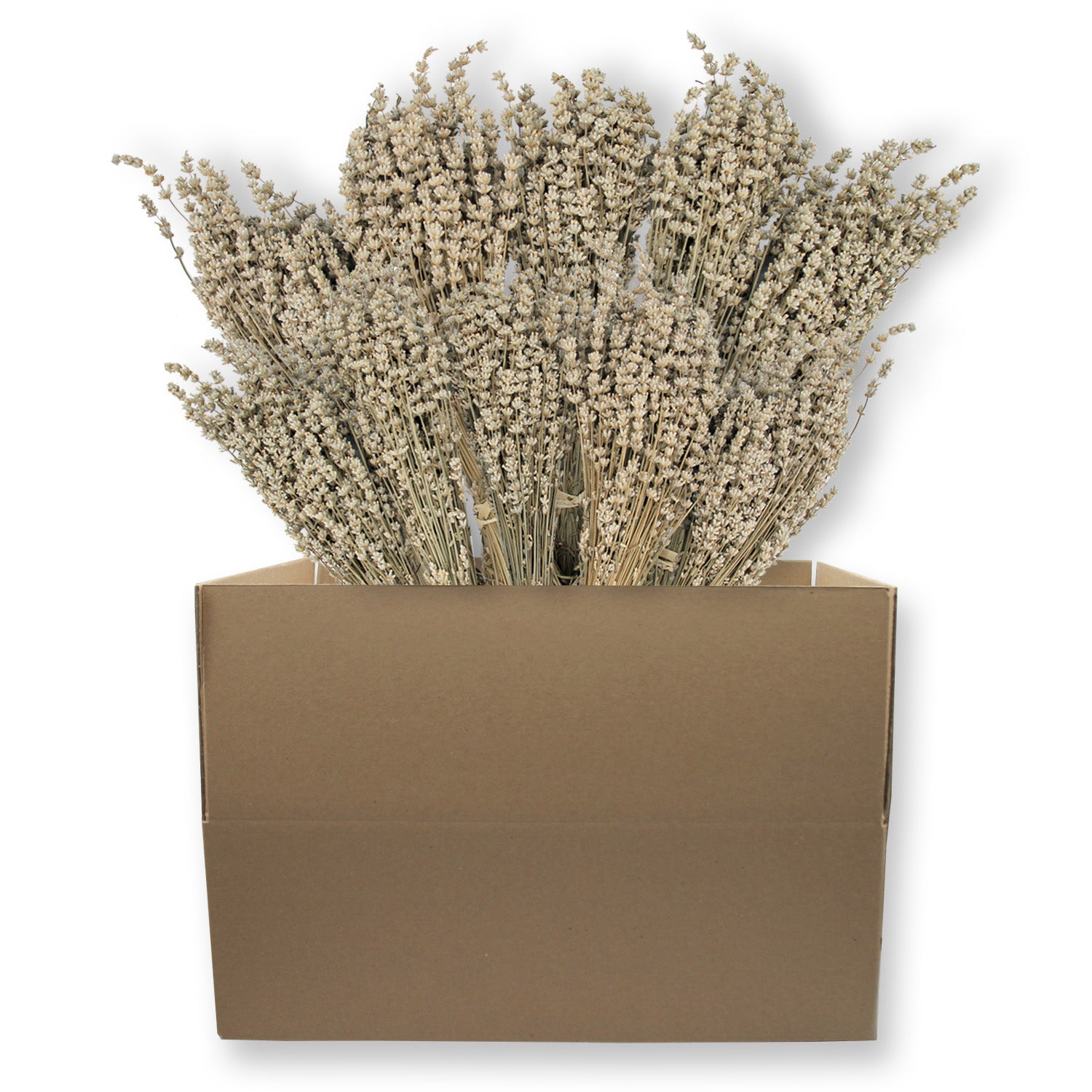 Box of 10 Lavender Field Bundles for Weddings, Showers & DIY Decor - SHIPS FREE