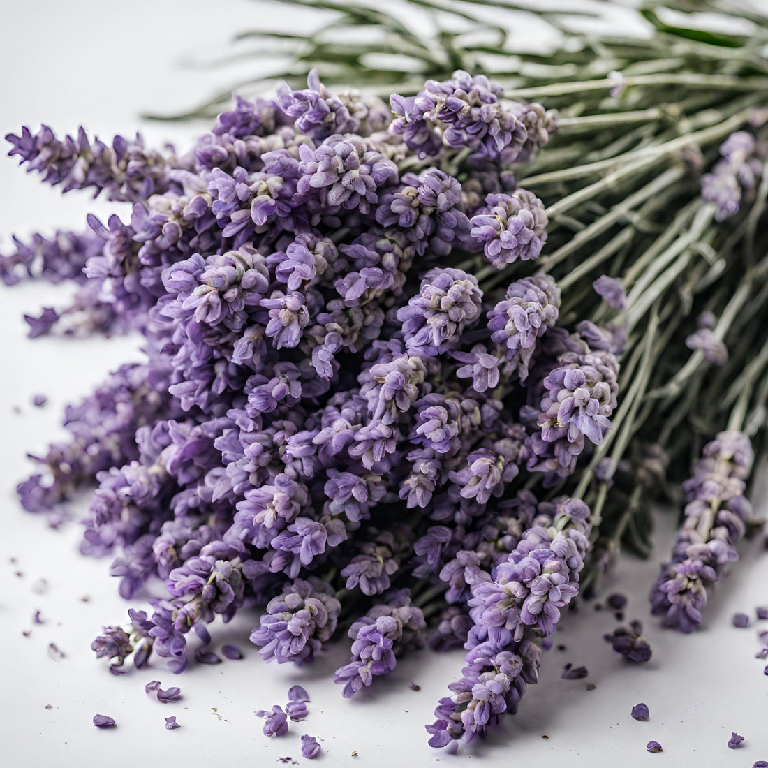 Fresh Lavender Bouquet Subscription