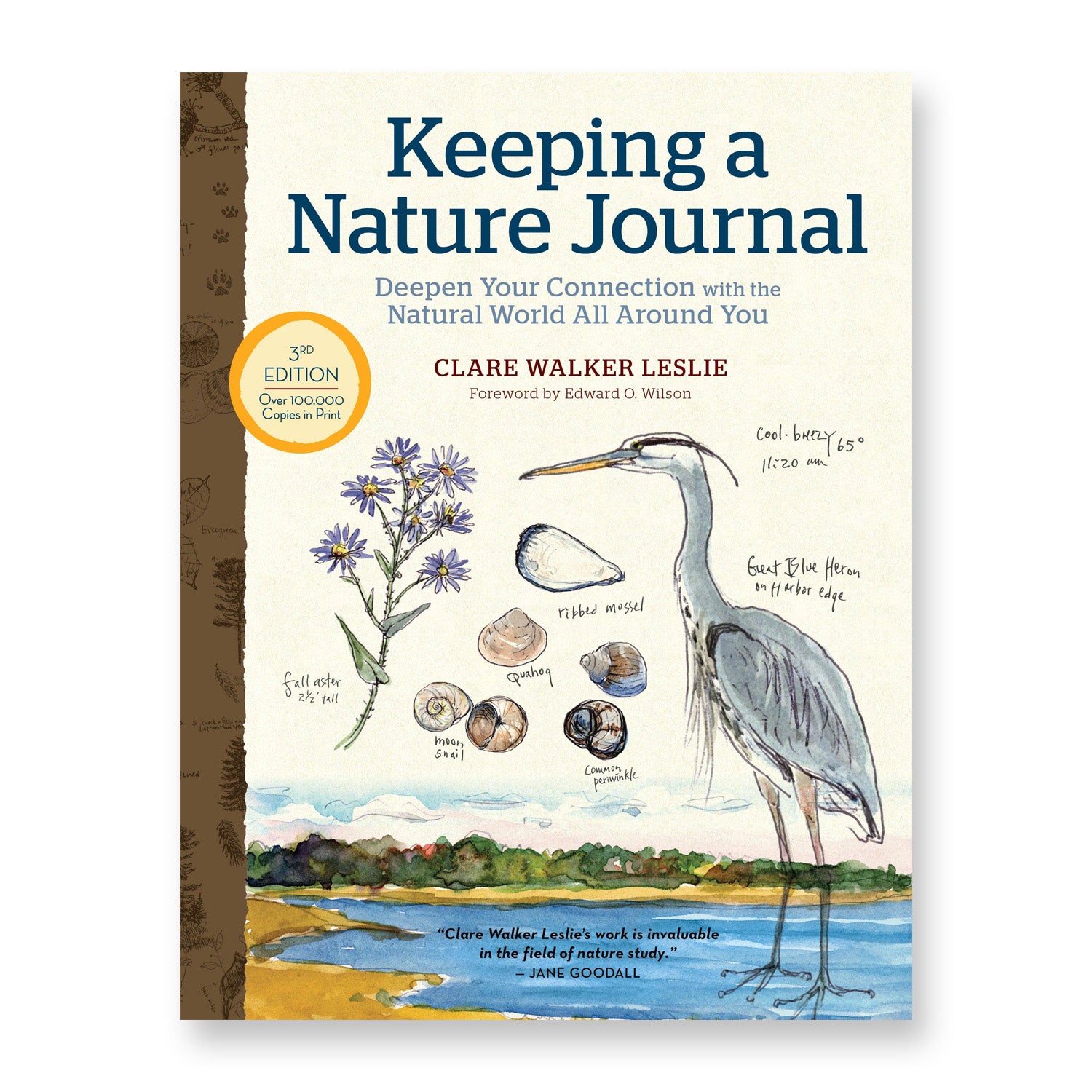 Book cover of &