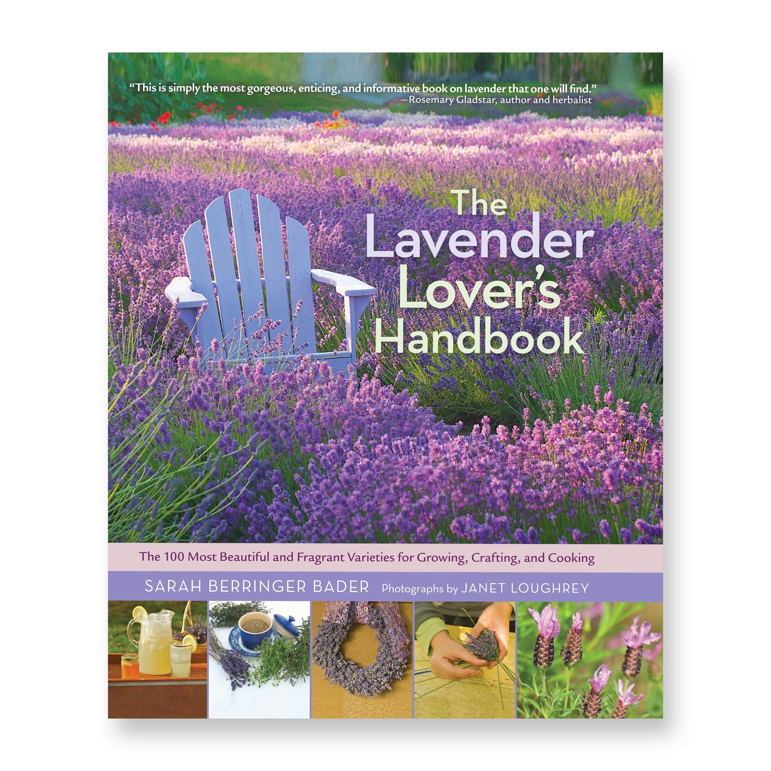 Book cover of &