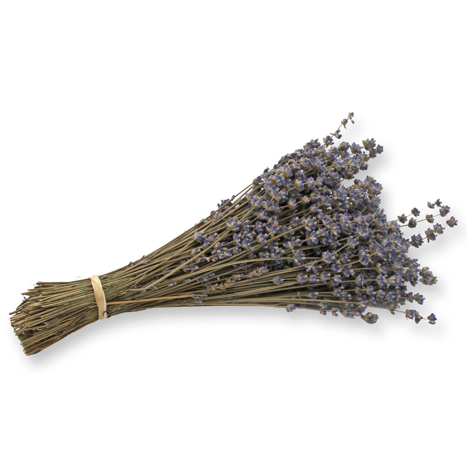 Dried Lavender Bouquet: Melissa Lilac
