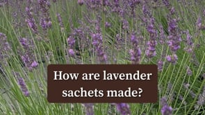 Lavender Sachet