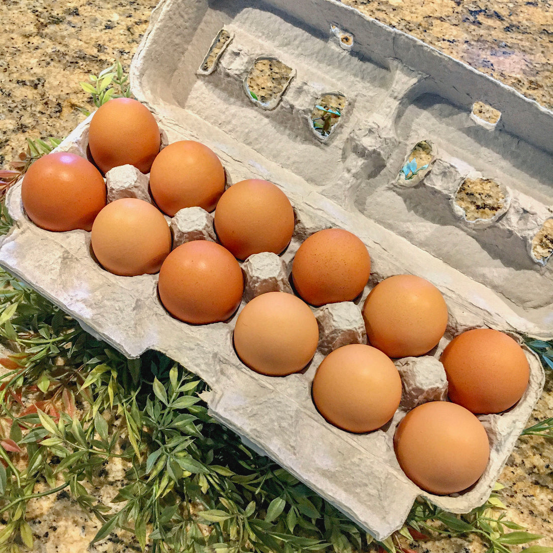 Farm Fresh Eggs