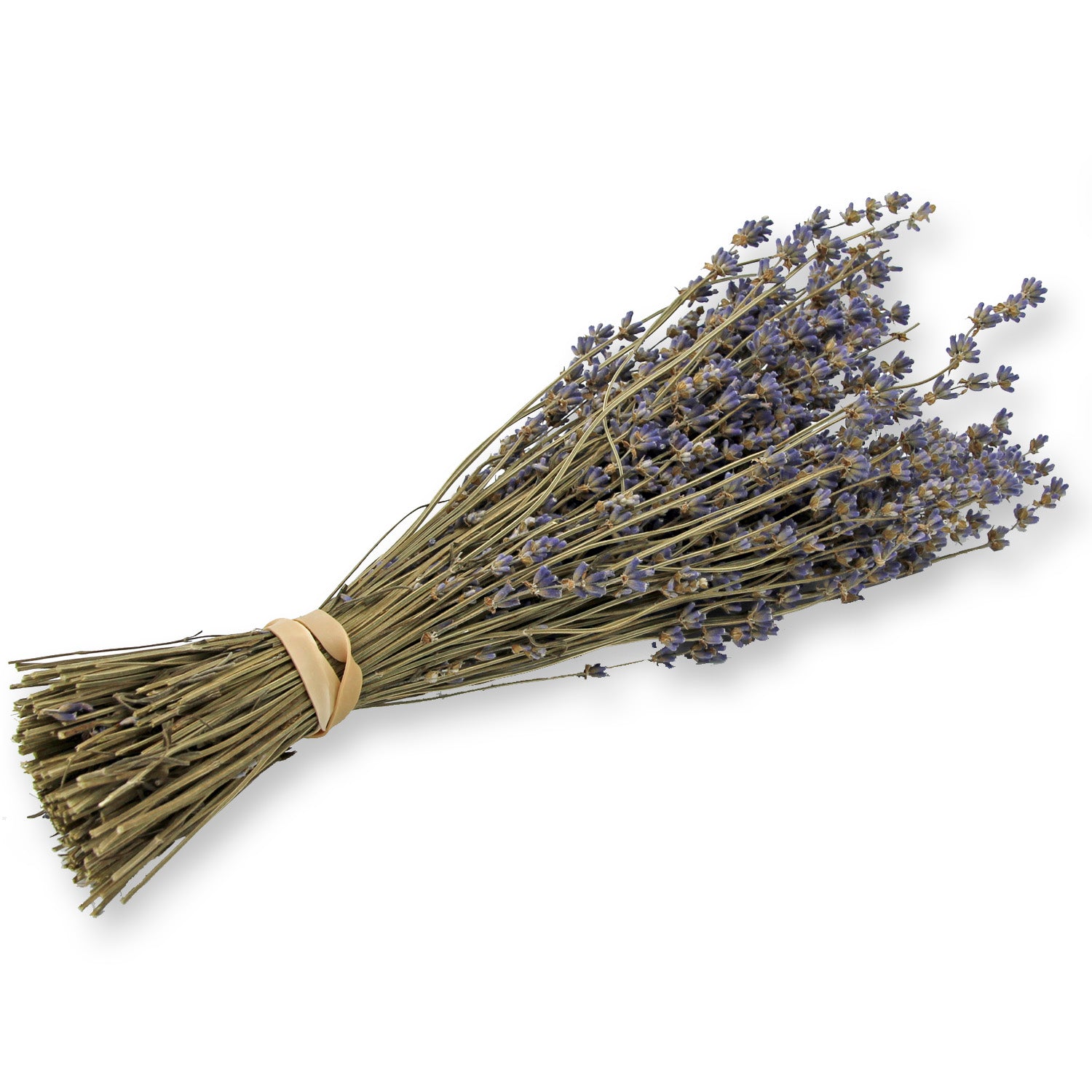 Dried Lavender Bouquet: Folgate