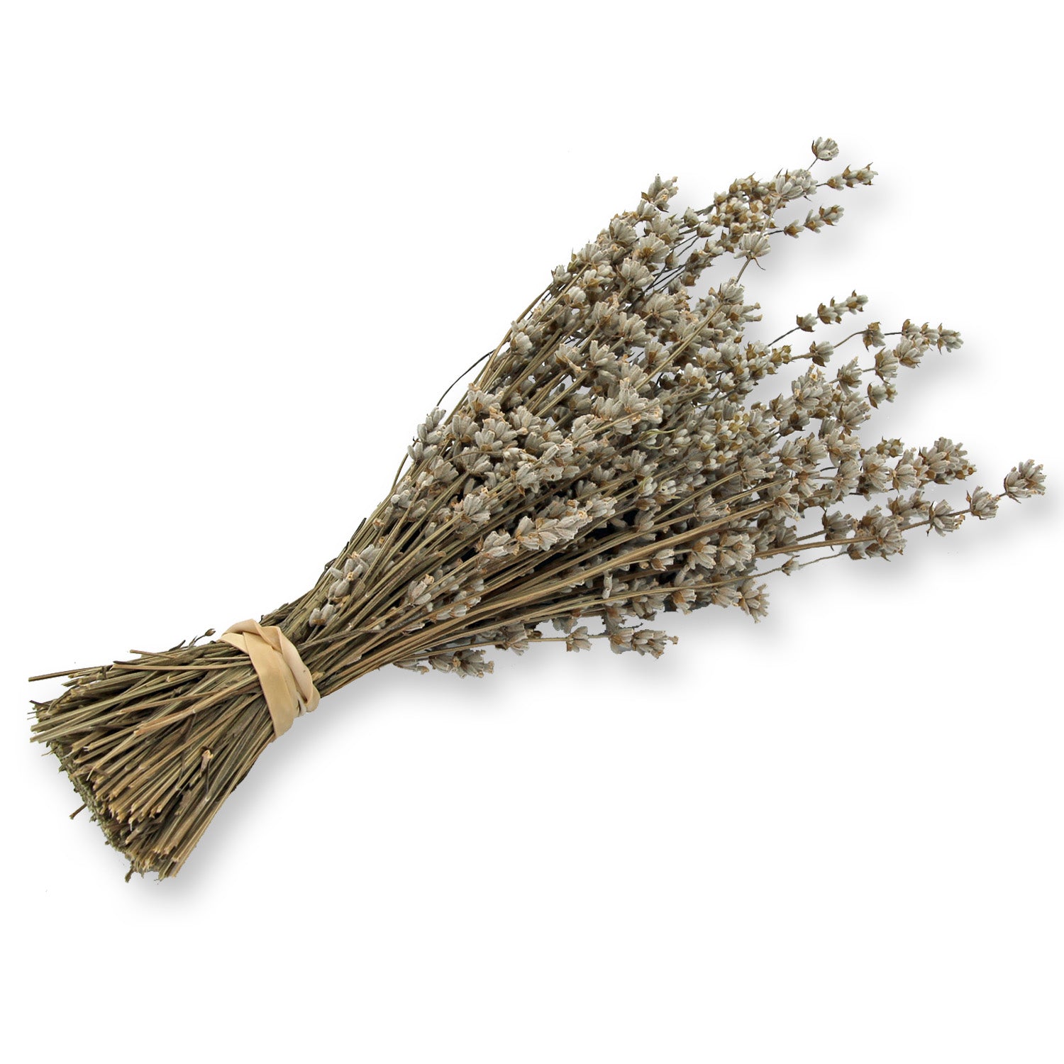 Dried Lavender Bouquet: Melissa