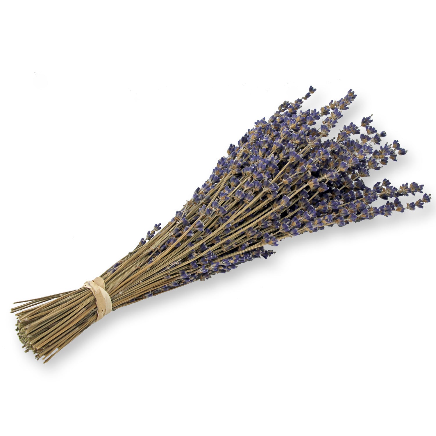 Dried Lavender Bouquet: Royal Velvet