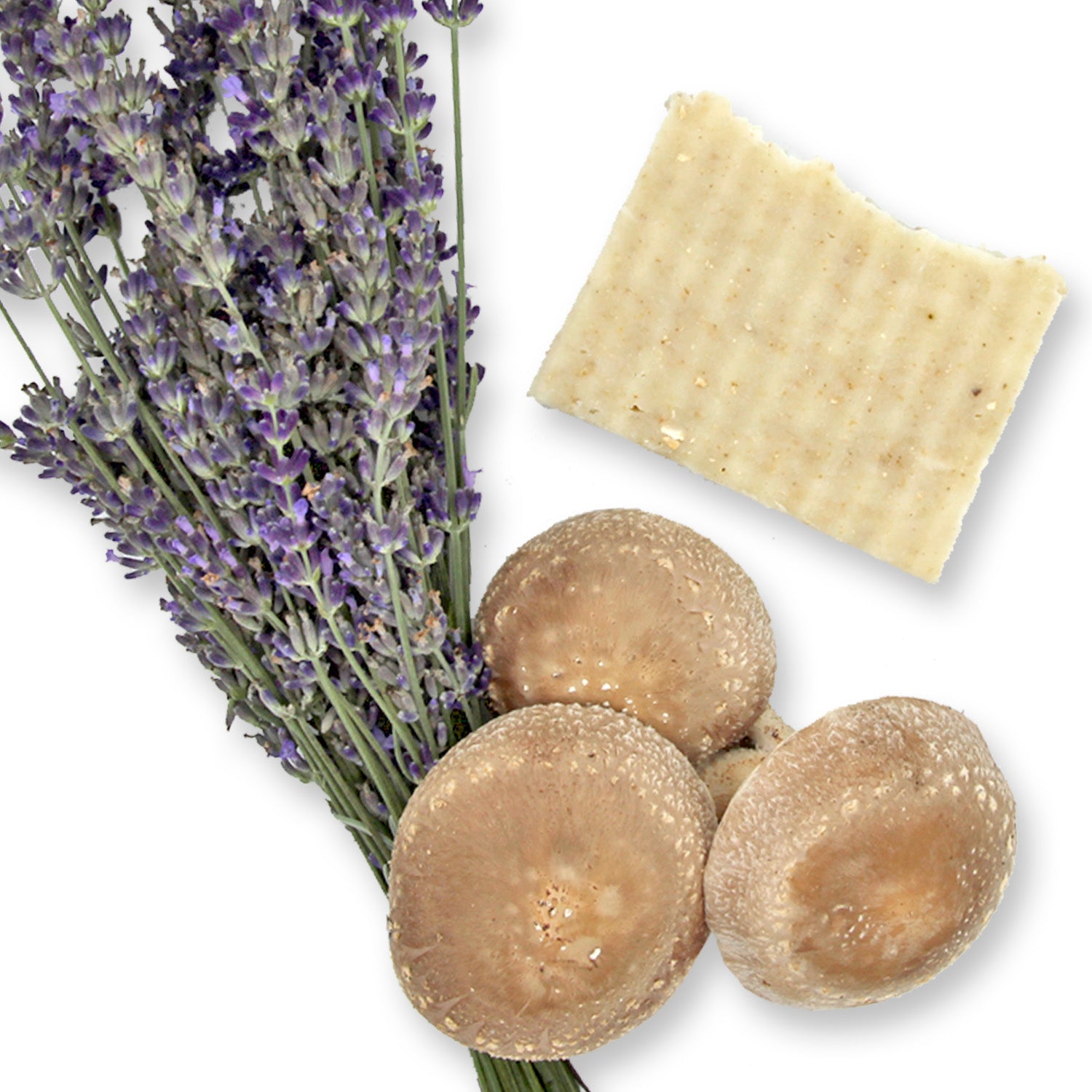 Lavender Shiitake Soap