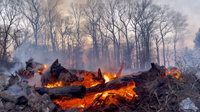 Agricultural Burn