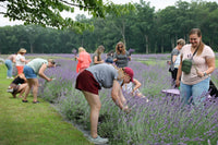 Girls Day on the Farm