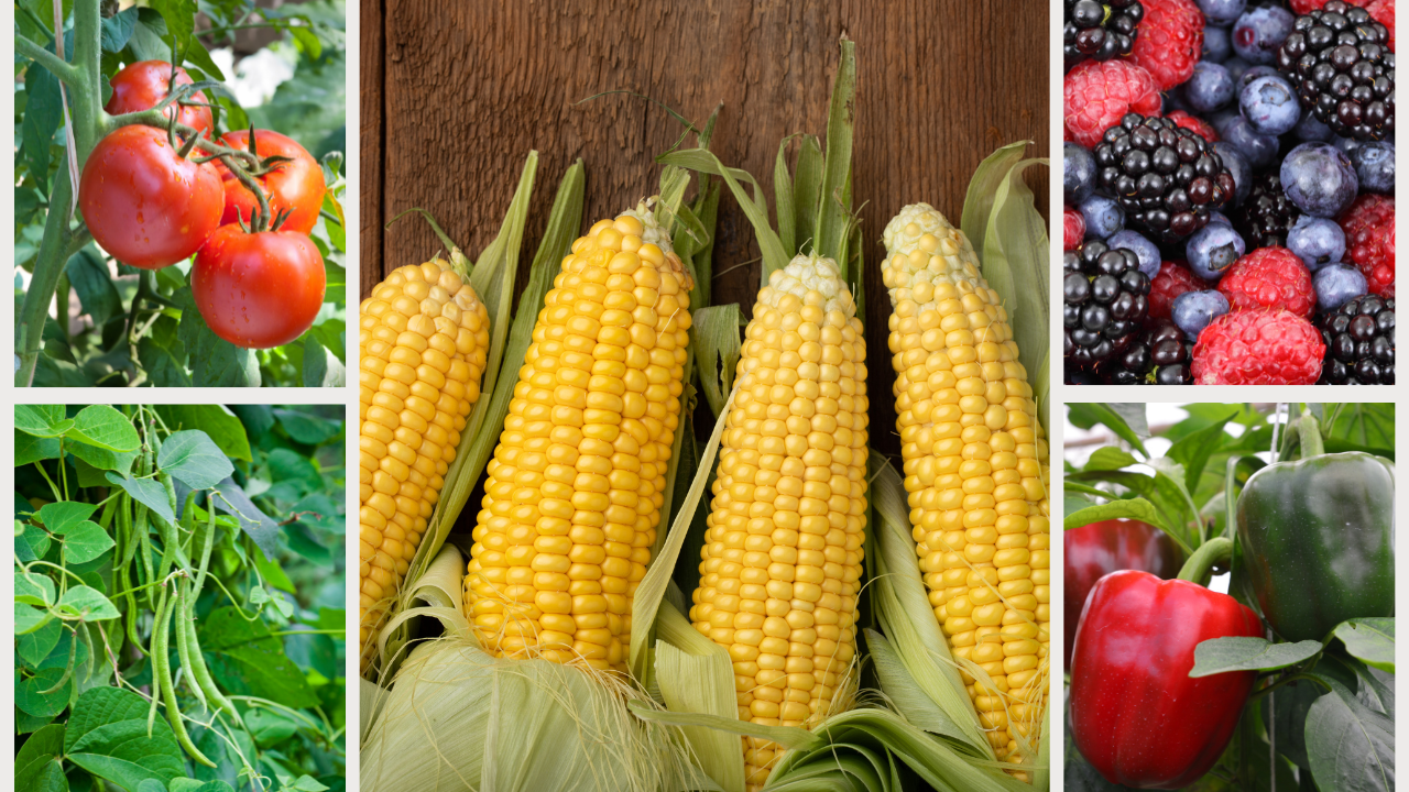 The Top 5 Plants to Grow If You Want to Freeze Your Own Food