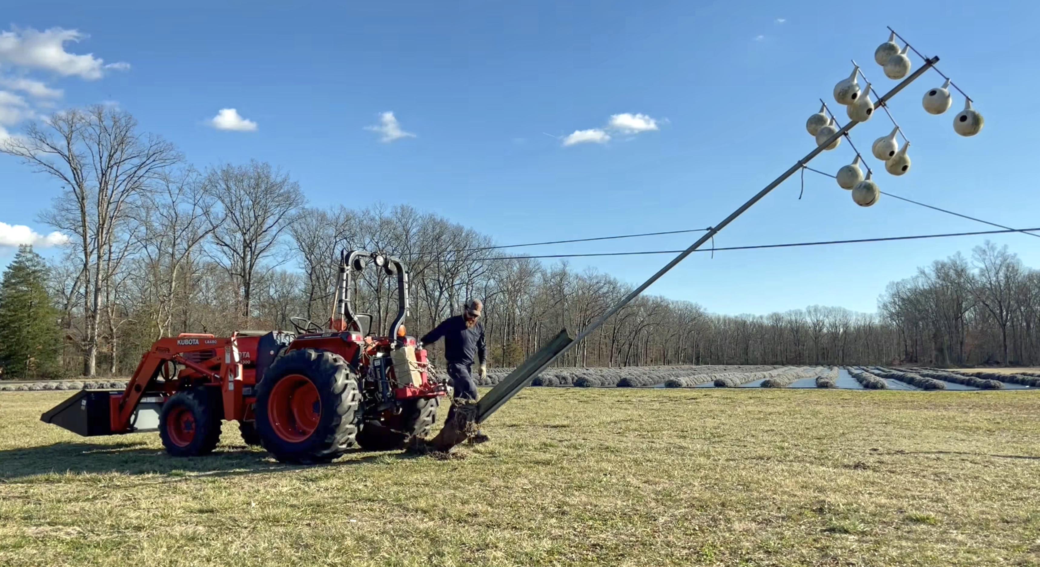 Updating Purple Martin Racks: Part 1 – Copper Knoll Farms
