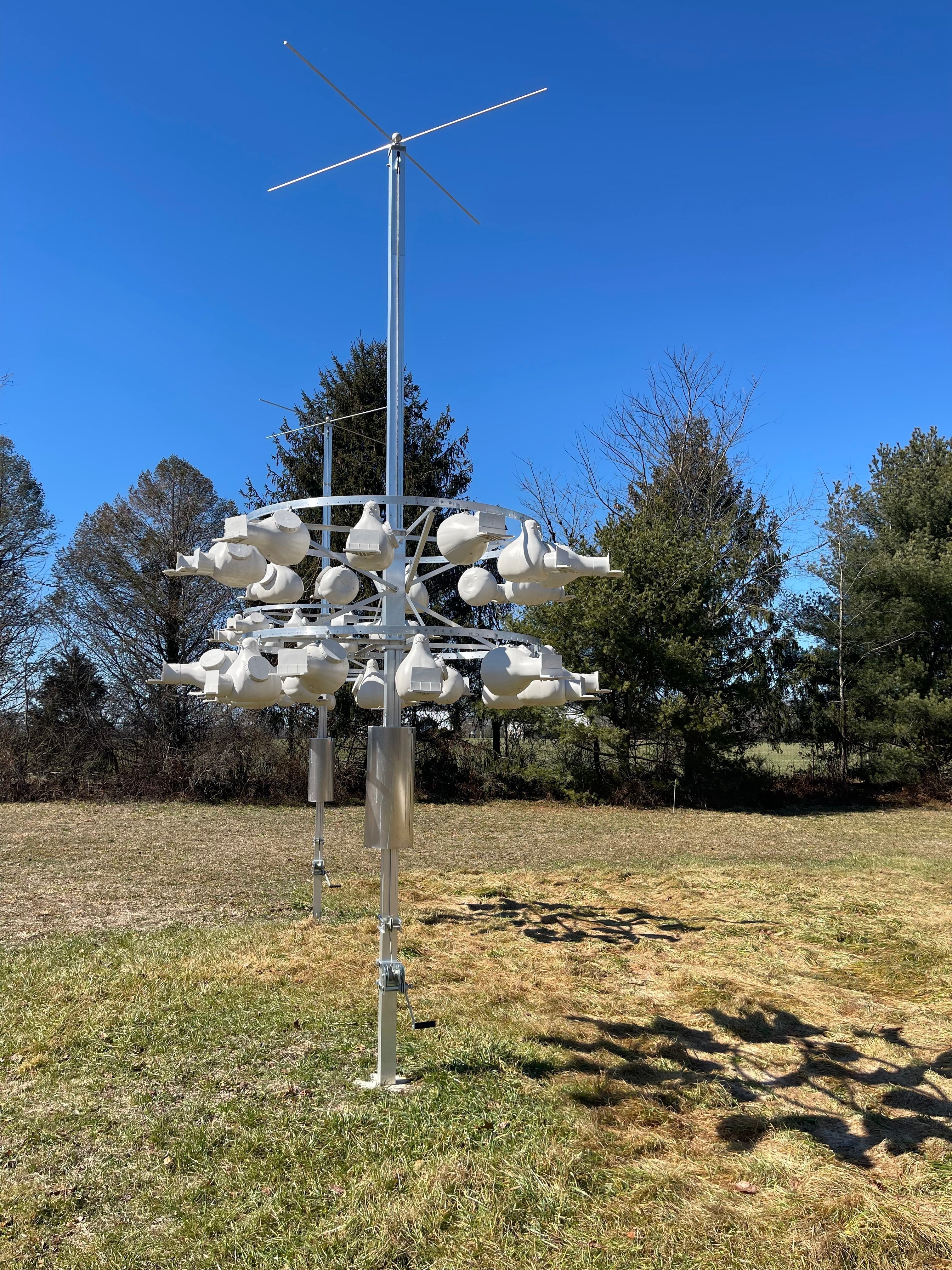 Preparing for Purple Martin Season – Copper Knoll Farms