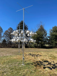 Preparing for Purple Martin Season