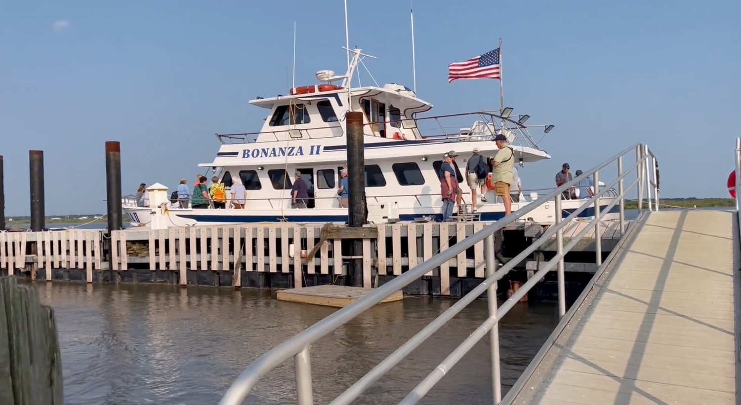 Purple Martin Cruise