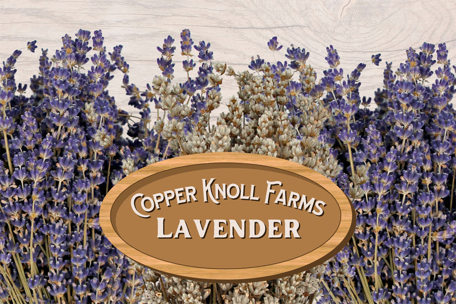 Introducing: Copper Knoll Farms Lavender