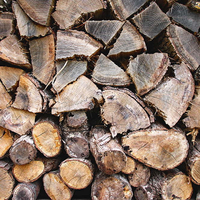 Jersey Grown Firewood