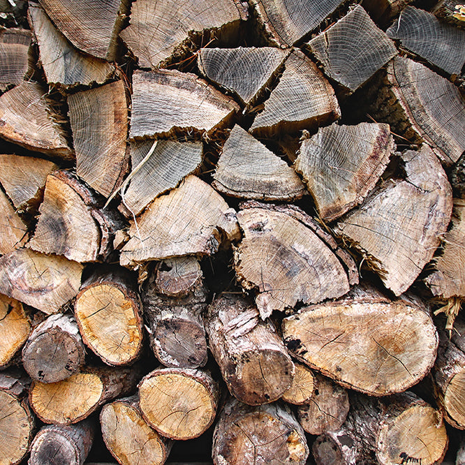 Why You Should Buy Firewood Locally (And What You Need to Know About Restrictions)