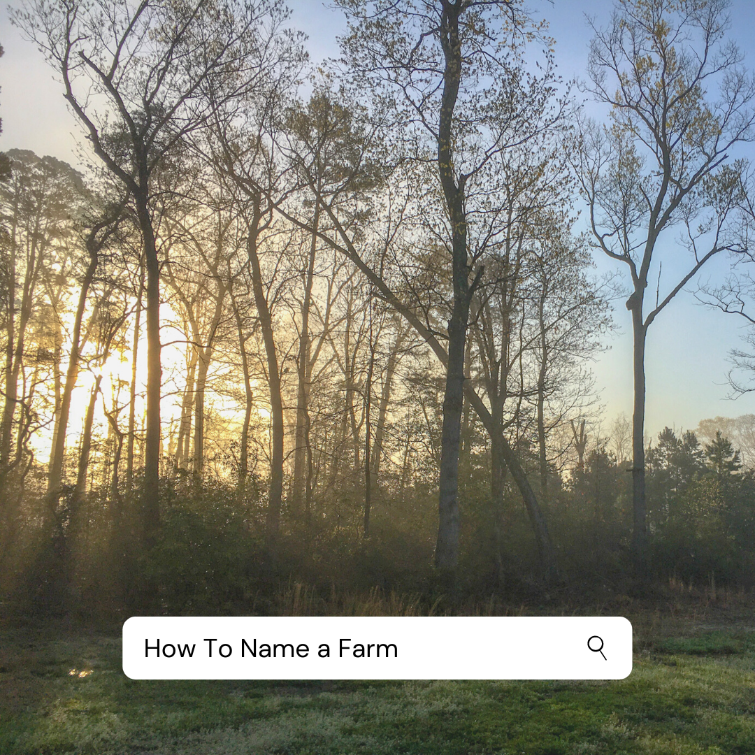 How We Named Our Farm