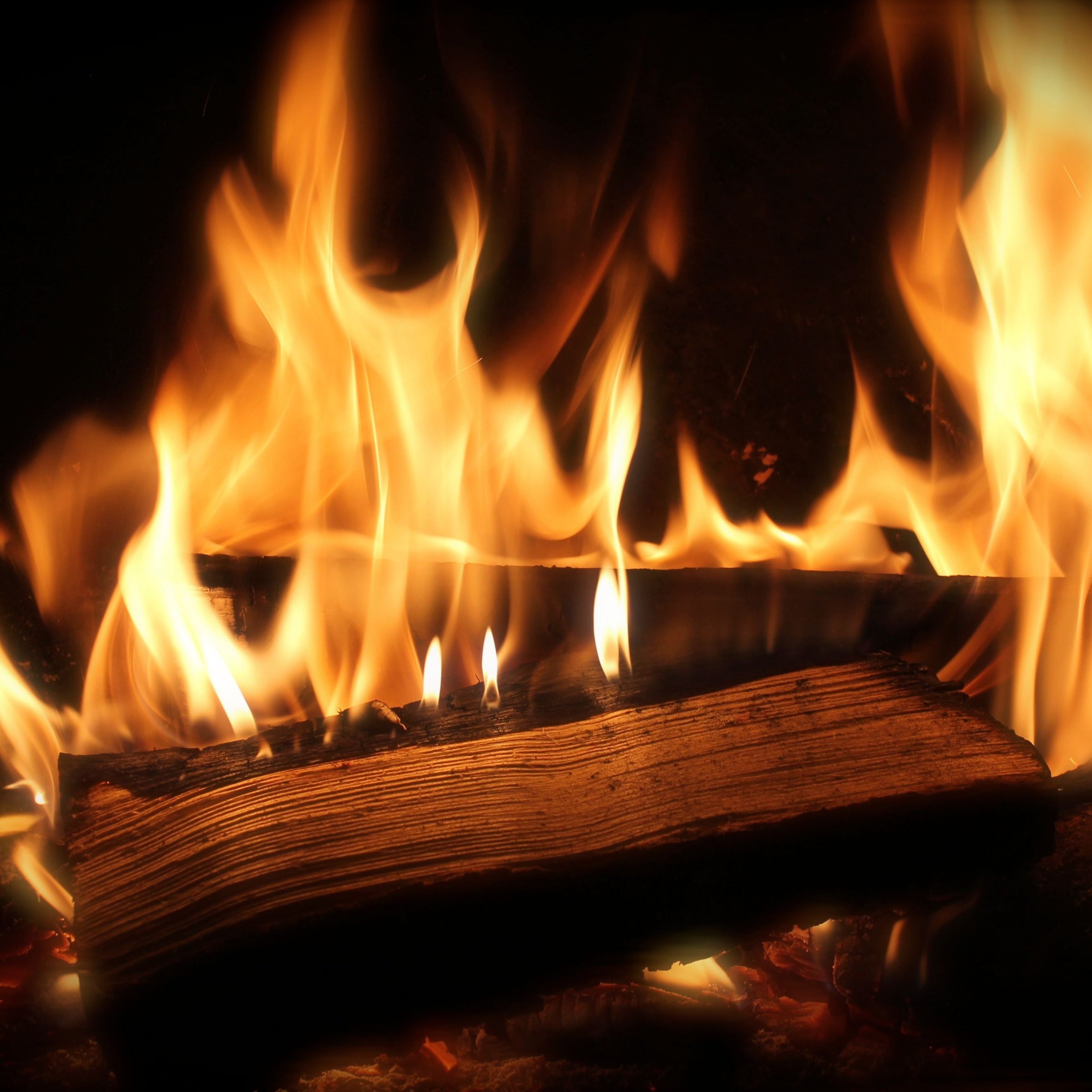 Firewood