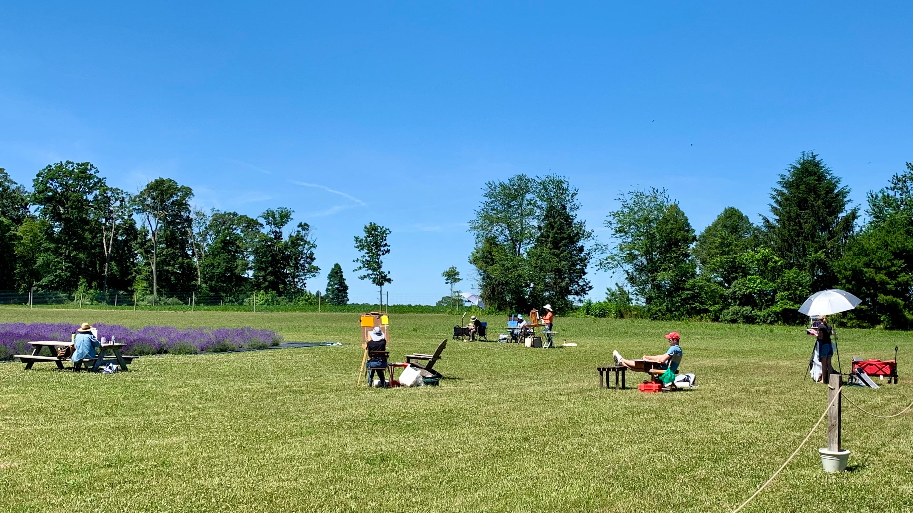 Plein Air Painters at Copper Knoll Farms in Southern New Jersey