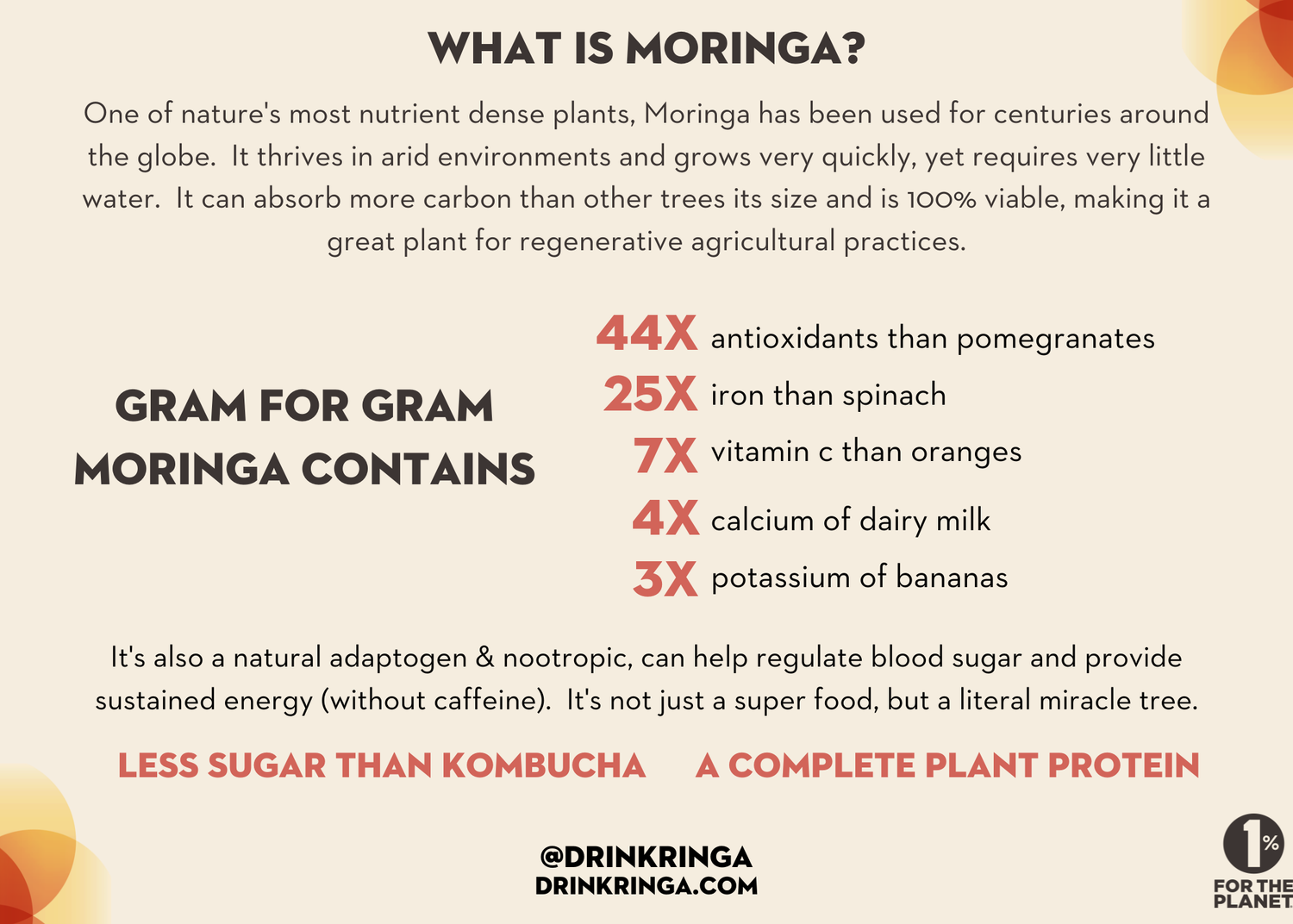 Ringa Elderberry + Lavender Lemoande Moringa &amp; ACV Infusion