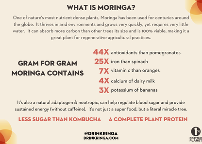 Ringa Elderberry + Lavender Lemoande Moringa &amp; ACV Infusion