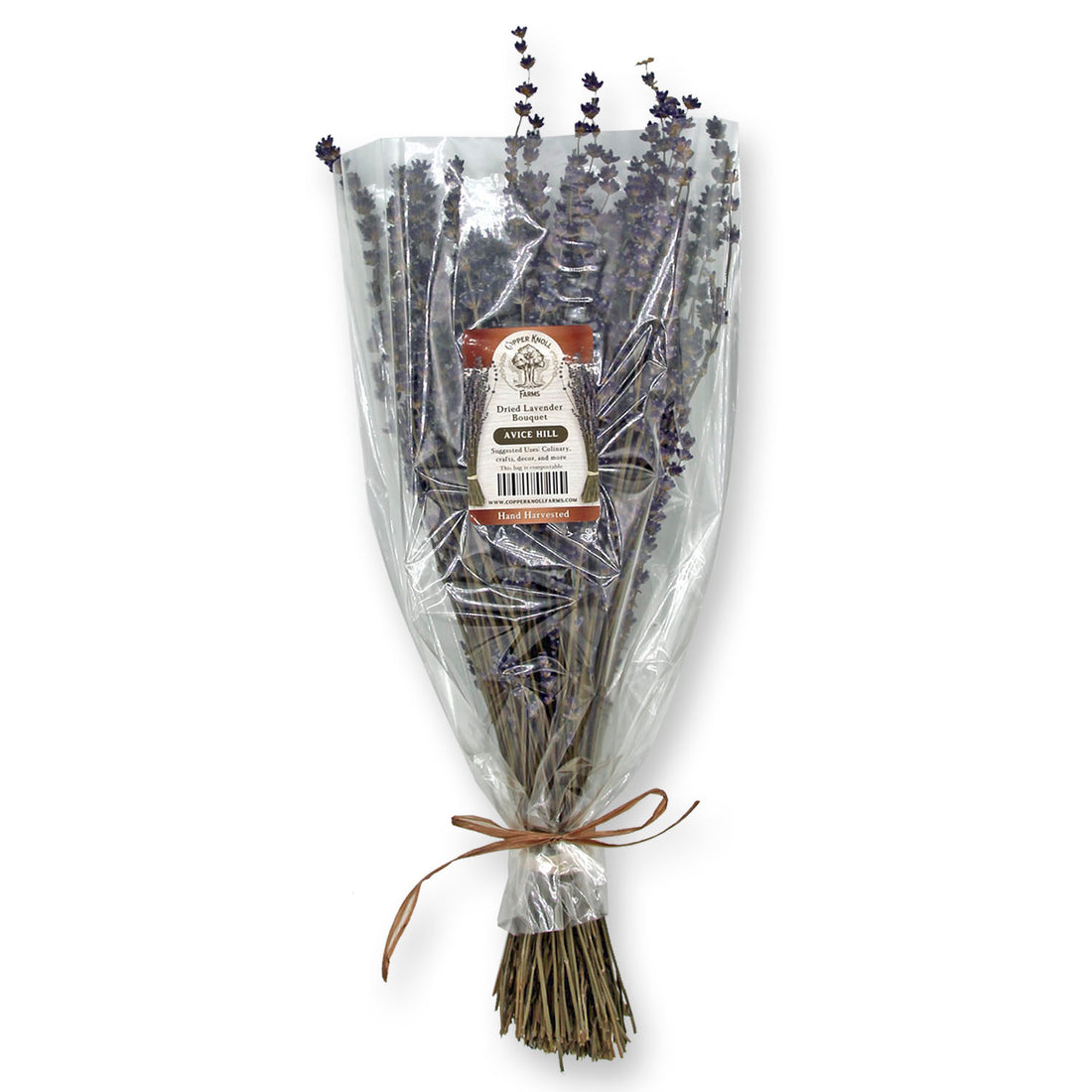 Dried Lavender Bouquet: Avice Hill