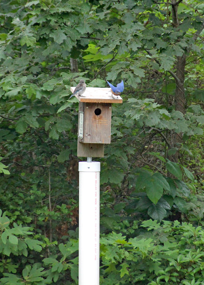 Wildlife Observation Experience