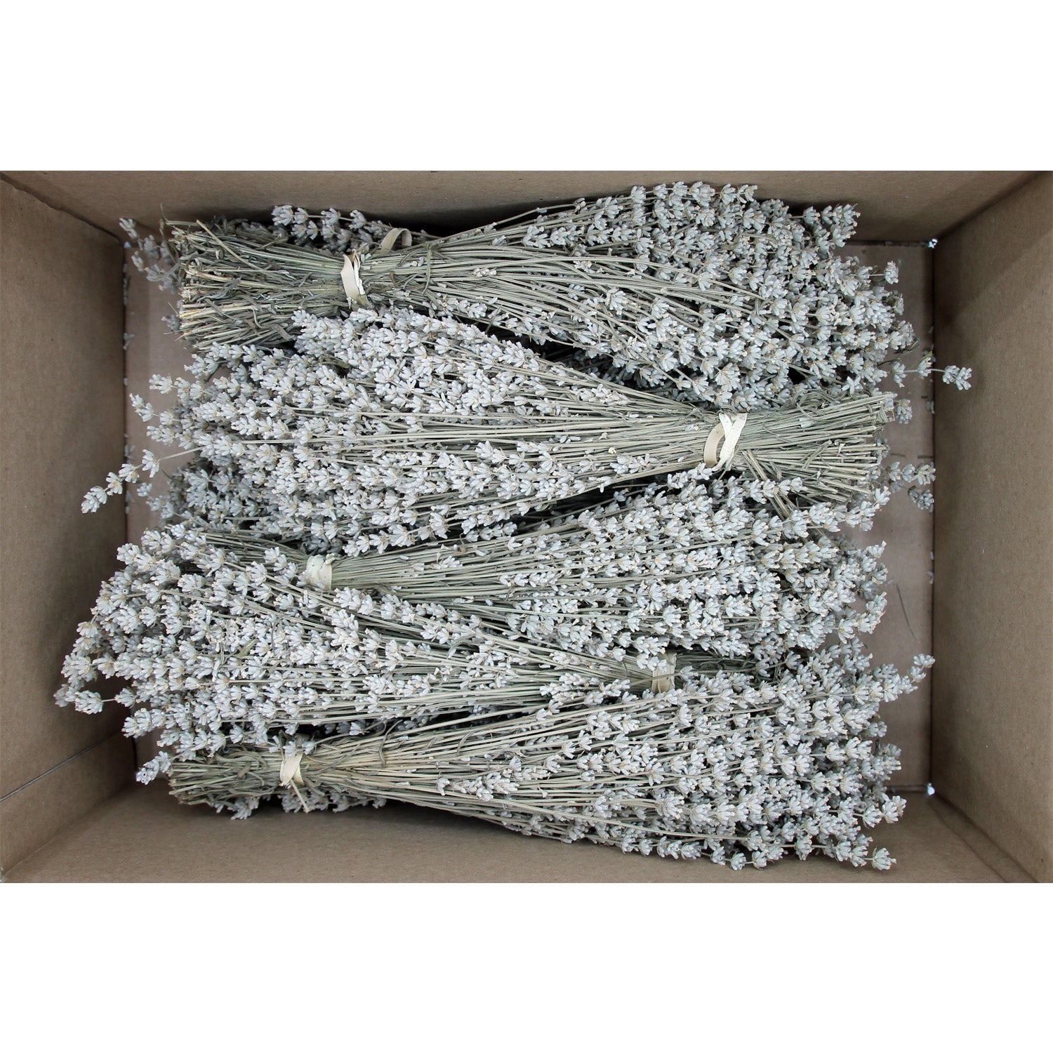 Box of 10 Lavender Field Bundles for Weddings, Showers &amp; DIY Decor