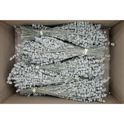 Box of 10 Lavender Field Bundles for Weddings, Showers &amp; DIY Decor