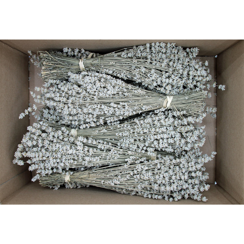 Box of 10 Lavender Field Bundles for Weddings, Showers & DIY Decor