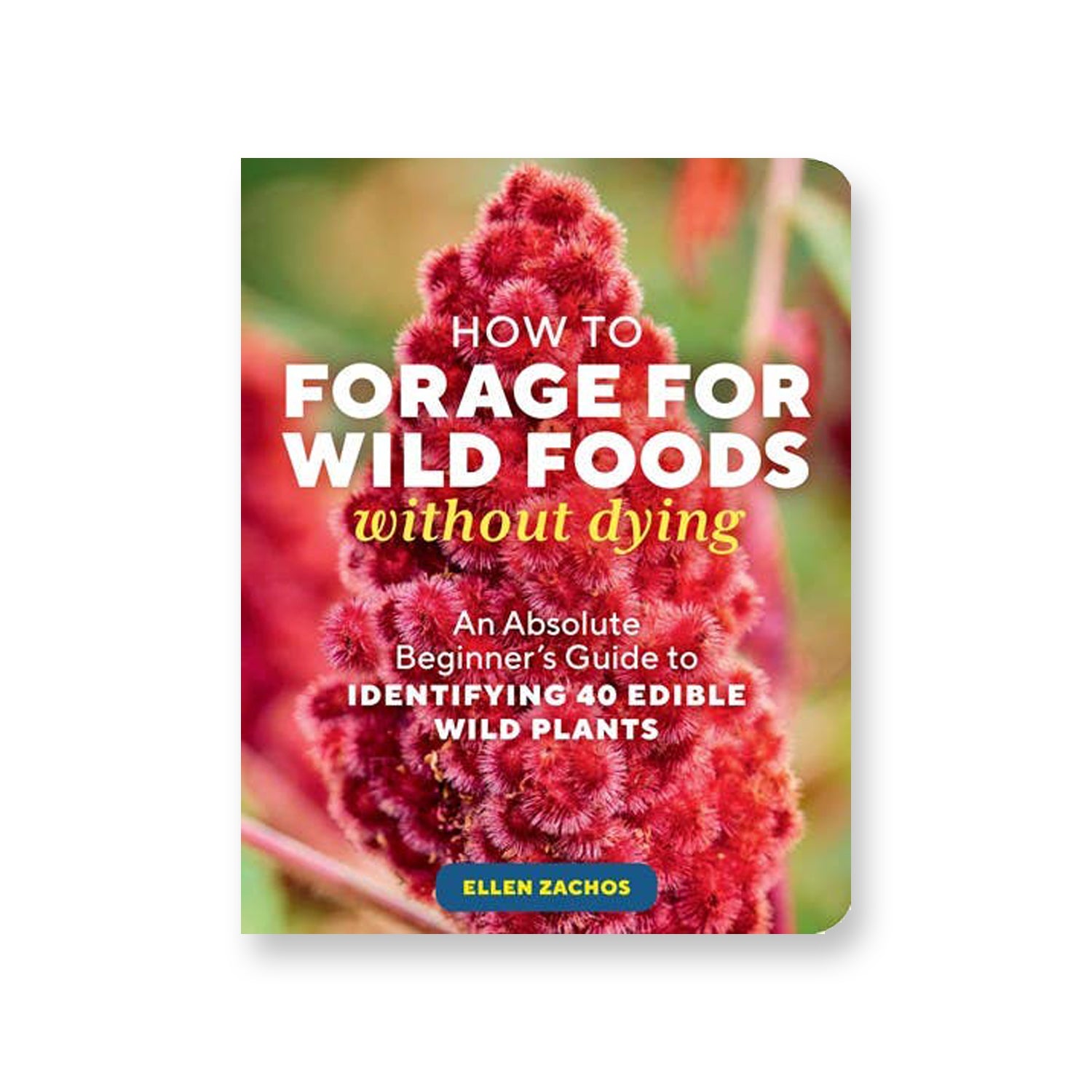 Book cover of &