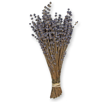 Dried Lavender Bouquet: Melissa Lilac
