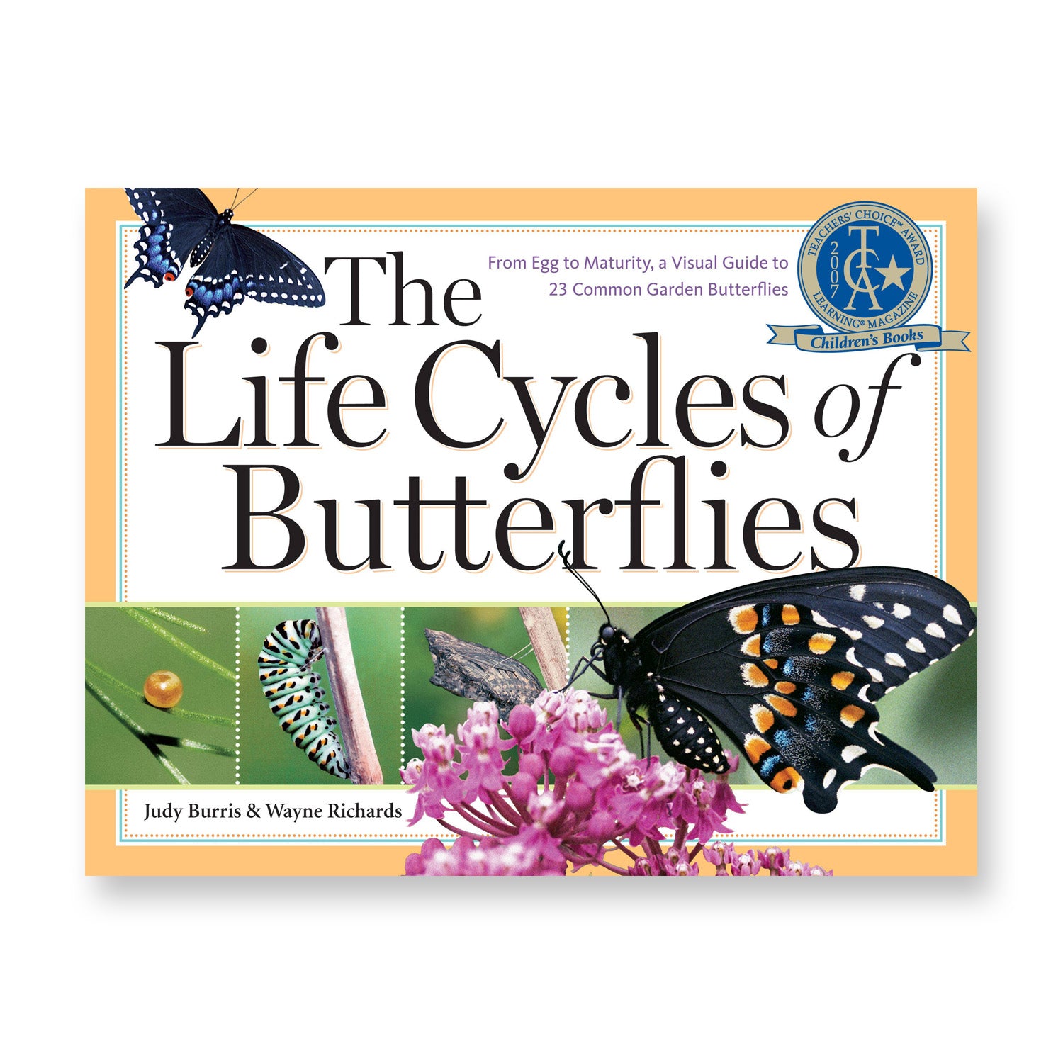 Book cover of &