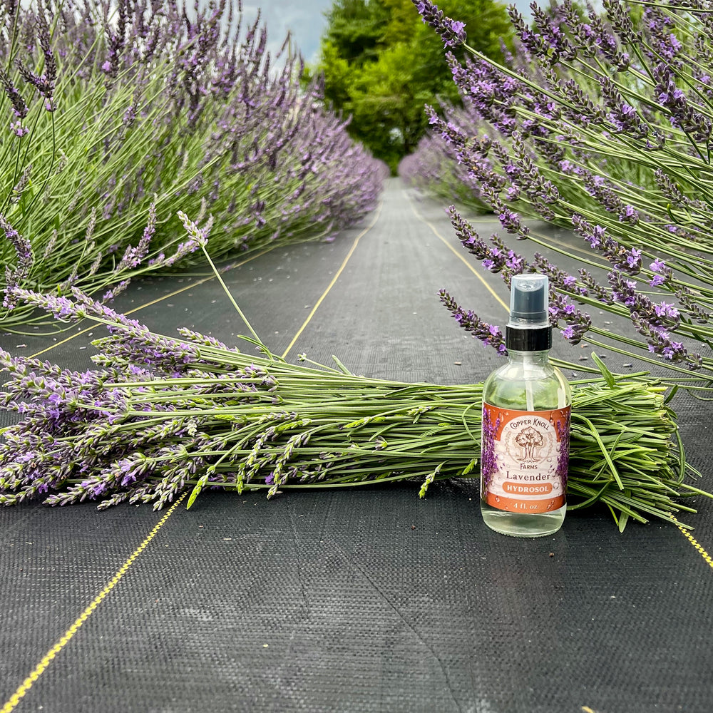 Lavender U-Pick