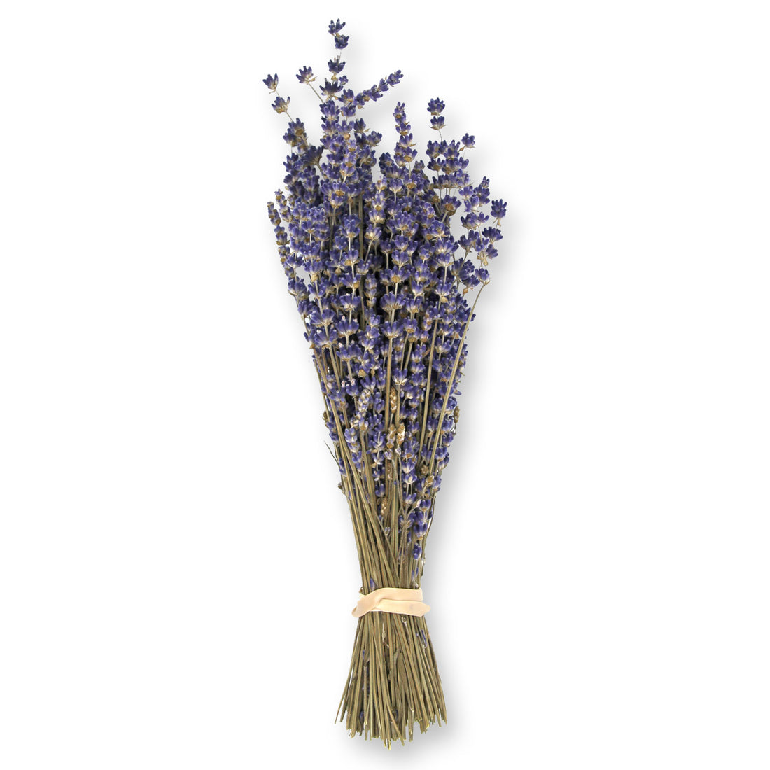 Calhoun Flower Farms Dried Lavender Bunch