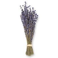 Dried Lavender Bouquet: Betty's Blue