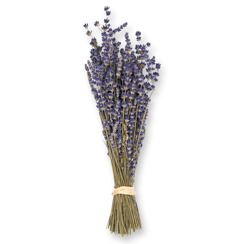 Dried Lavender Bouquet: Betty's Blue