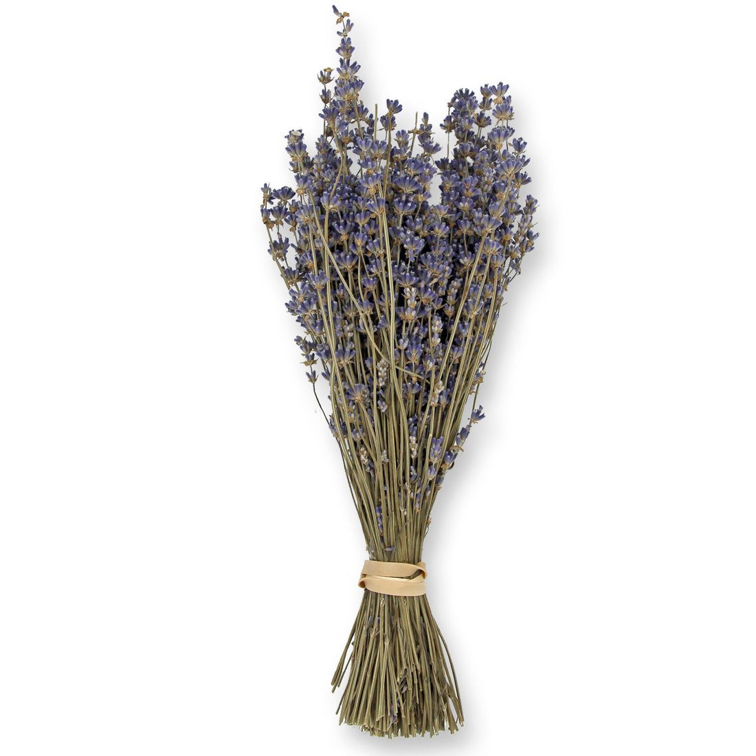 Dried Lavender Bouquet: Folgate