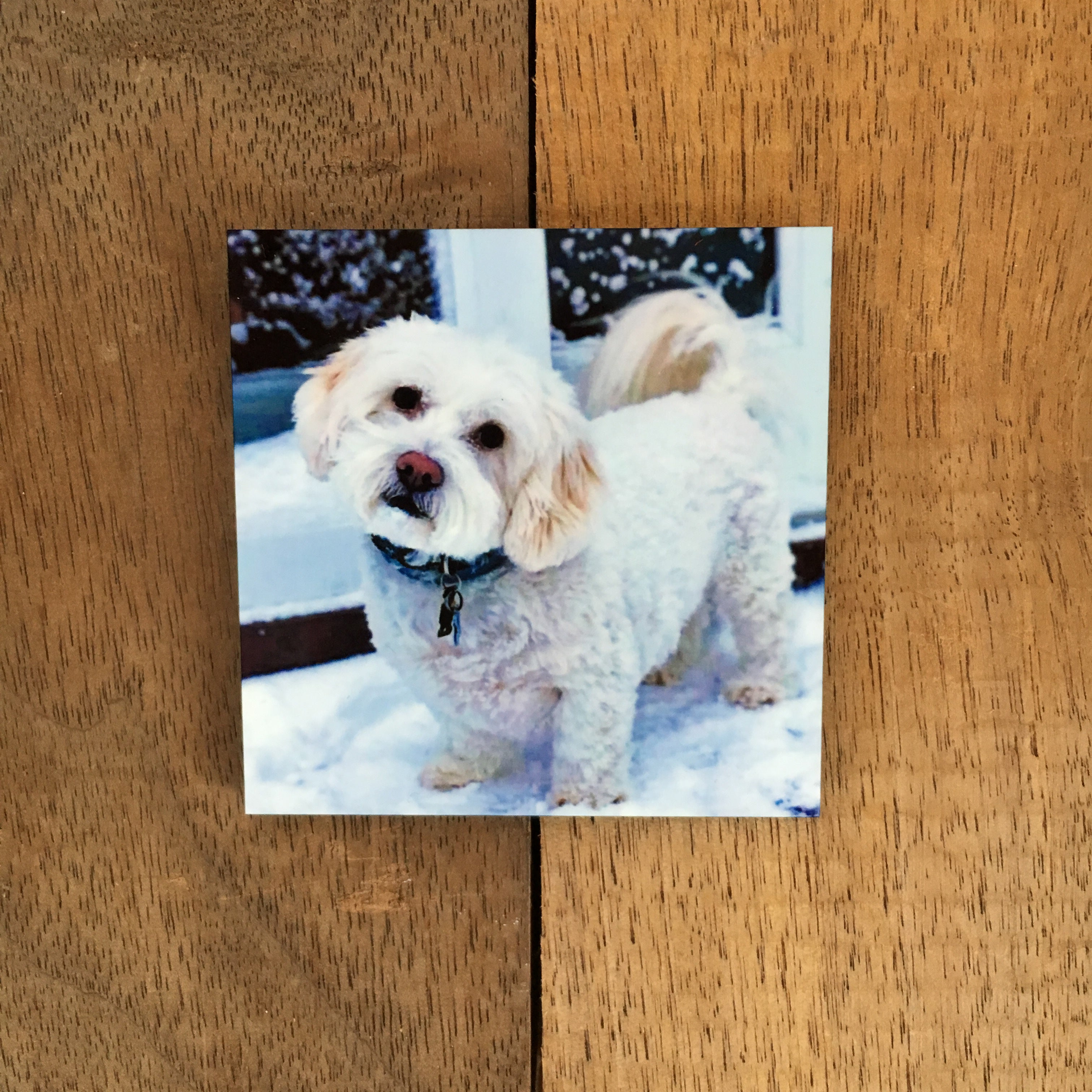 Cheap Photo Gifts | Personalized Gifts Online | Winkflash