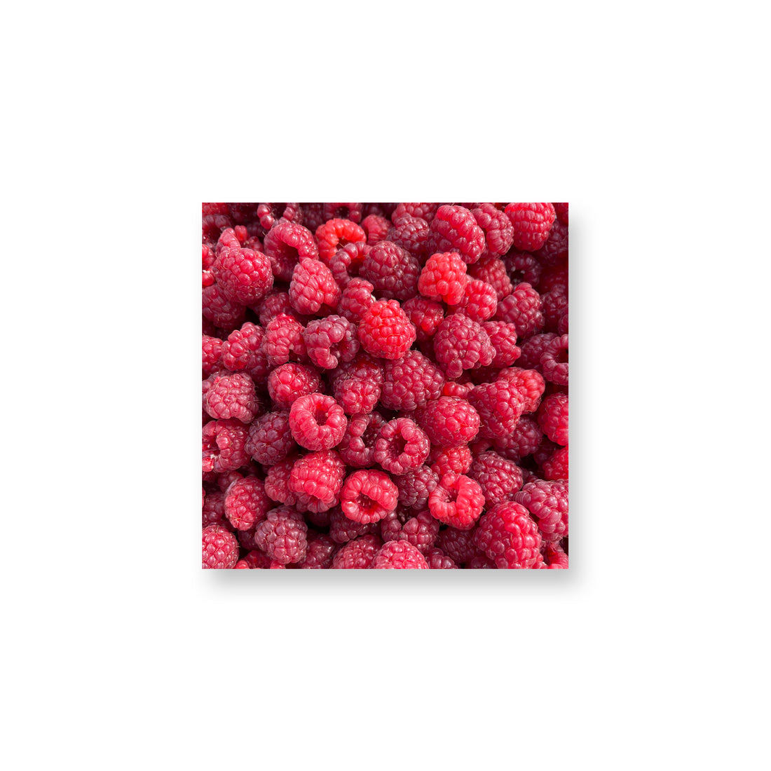 Raspberries Magnet