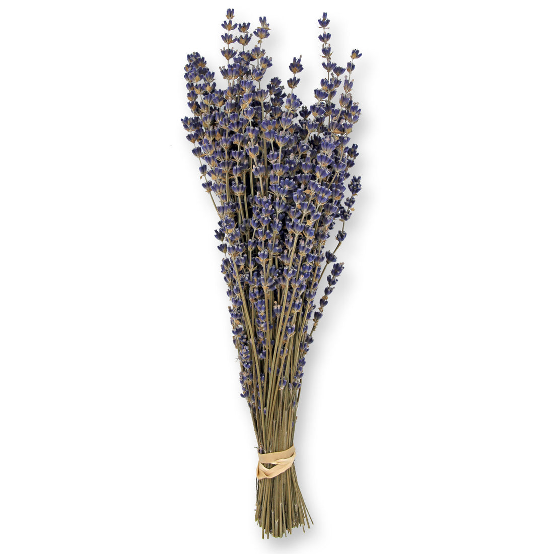 Dried Lavender Bouquet: Royal Velvet
