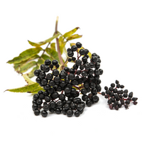 Elderberries